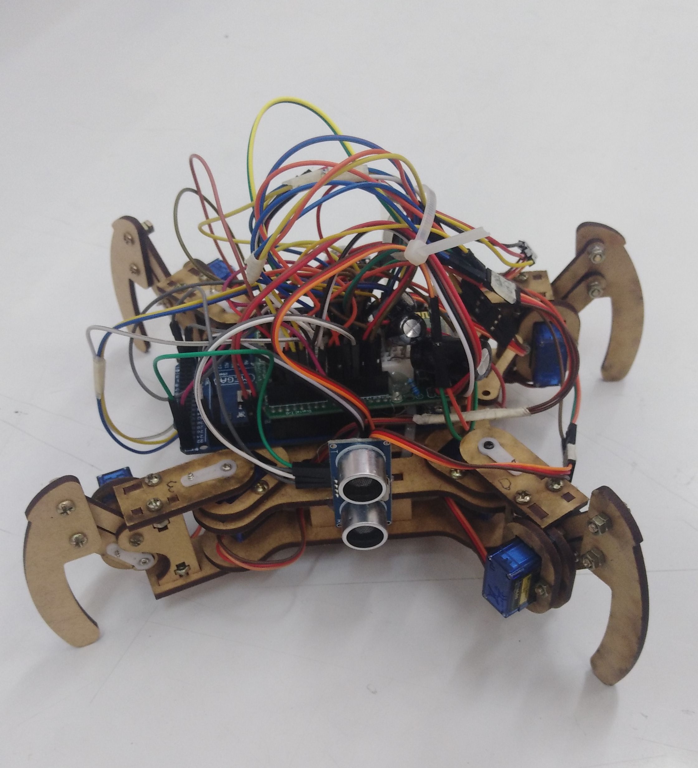 Scaled spider robot built to test the proposed gait-learning algorithm